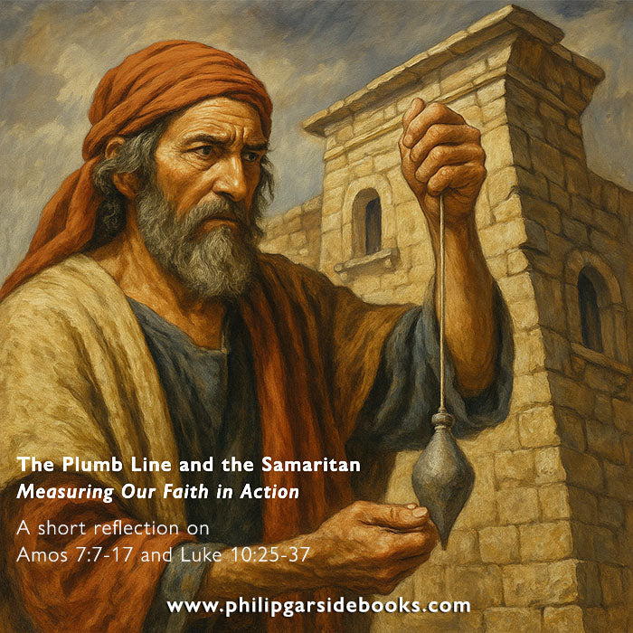 Pentecost 5 – The Plumb Line and the Samaritan
