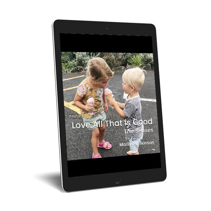 Love All That is Good: The Senses
eBooks By Marilyn Wilkinson
Zipped file containing eBook editions in PDF and ePub / Kindle / Mobi formats. This is a 46mb download.
These are fixed format eBooks which show pages as two-page spreads.
32pp, 8.5” x 8.5” square
Colour throughout
ISBNs:
ePub / Kindle / Mobi: 9781991027757
PDF: 9781991027740
Philip Garside Publishing Ltd (2024)