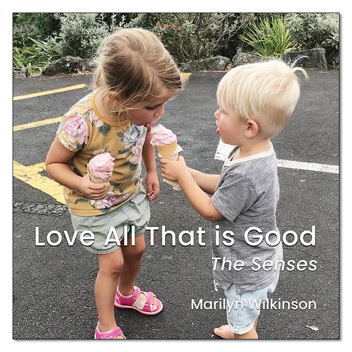 Love All That is Good: The Senses
print book by Marilyn Wilkinson
32pp, 8.5” x 8.5” square
Soft cover, colour throughout
ISBN 9798323946419
Philip Garside Publishing Ltd (2024)