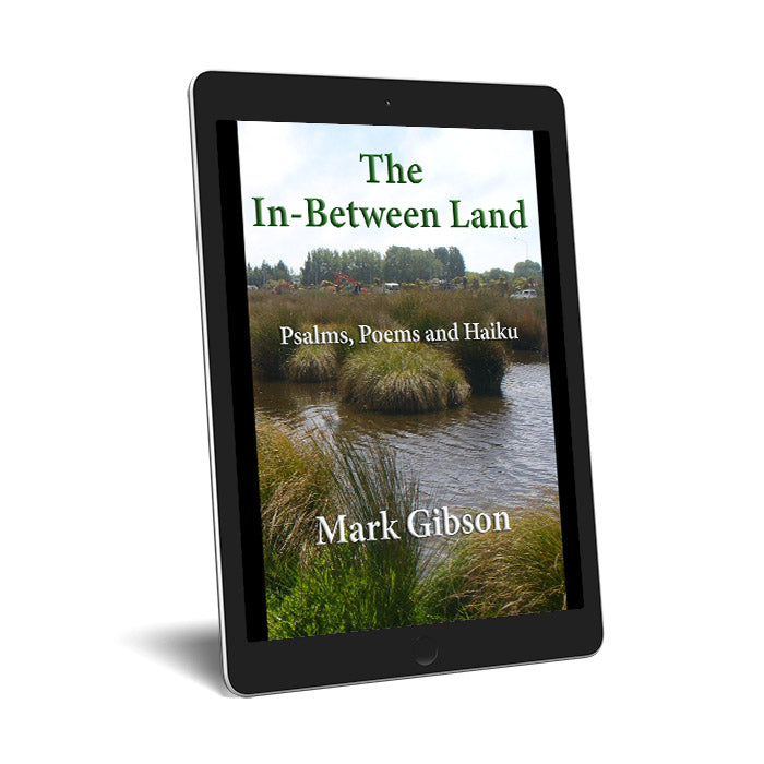 The In-Between Land - eBooks.