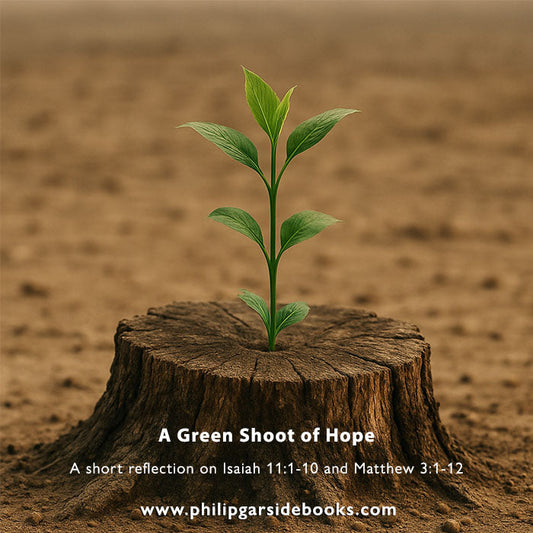 Advent 2 – A Green Shoot of Hope