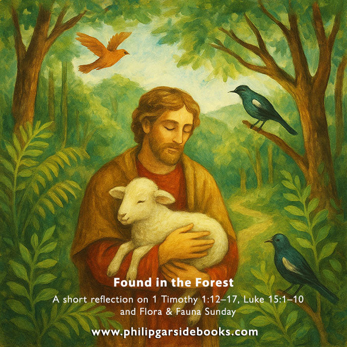 Pentecost 14 – Found in the Forest