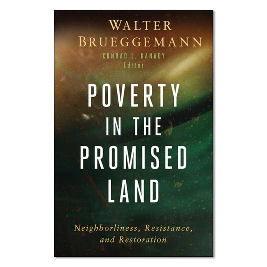 Poverty in the Promised Land - Print