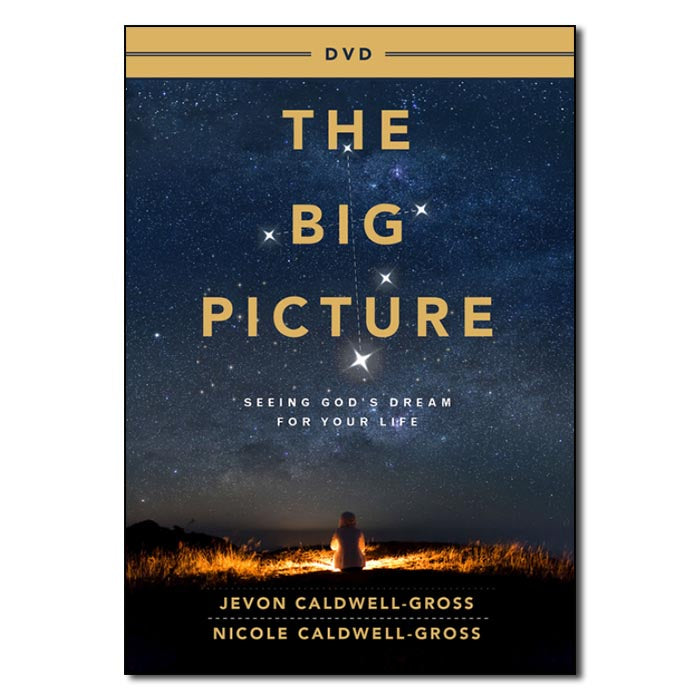 The Big Picture - DVD