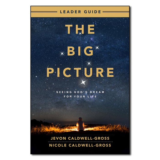 The Big Picture: Leader's Guide - Print